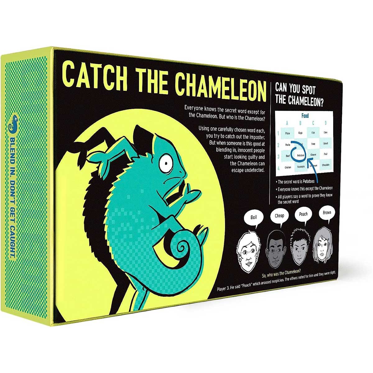 The Chameleon (14+ Years) - Image 10