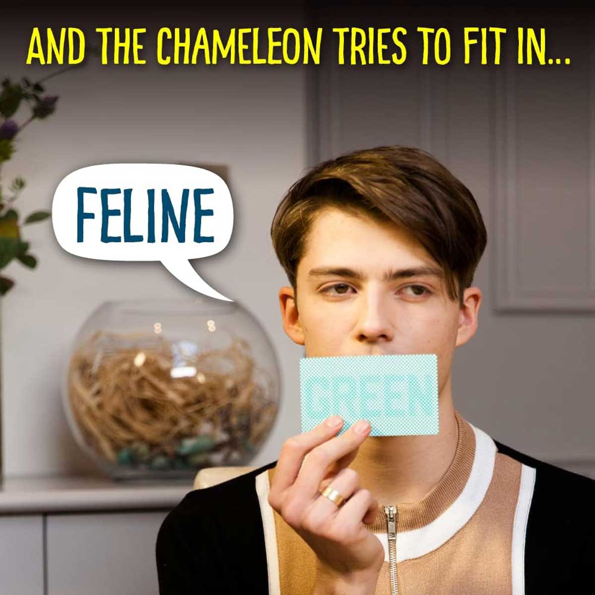 The Chameleon (14+ Years) - Image 6